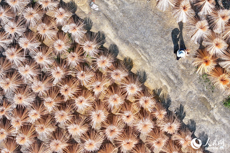 Why Bamboo Is Replacing Plastic in Global Markets